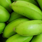 Fruto da BRS Princesa, variedade utilizada na pesquisa. Foto: Léa Cunha / divulgação