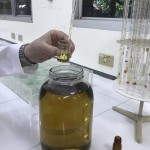 Existe um mercado promissor para os óleos essenciais, em função da sua ampla aplicação industrial - dos segmentos agropecuário, indústria alimentícia, cosméticos e perfumaria até a produção de medicamentos . Fotos: Priscila Viudes / divulgação