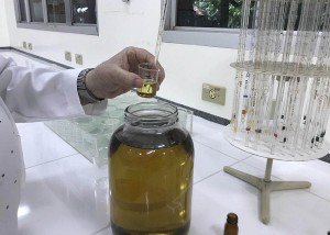 Existe um mercado promissor para os óleos essenciais, em função da sua ampla aplicação industrial - dos segmentos agropecuário, indústria alimentícia, cosméticos e perfumaria até a produção de medicamentos . Fotos: Priscila Viudes / divulgação