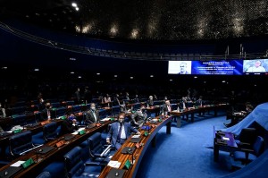 Nilo Coelho “foi incansável em buscar o desenvolvimento sustentável do sertão”, disse Fernando Bezerra Coelho, o sobrinho do homenageado, autor do requerimento para sessão, Foto: Edilson Rodrigues/Agência Senado.