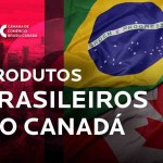 Organizado pela Câmara de Comércio Brasil-Canadá (CCBC), evento acontece nos dias 23 e 24 de novembro e será destinado a fornecedores das categorias hortifruti, temperos, produtos de panificação e confeitaria, ingredientes em geral, cereais, cafés, chás, entre outros.  Imagem: CCBC / reprodução.