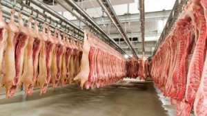 Em receita, a alta acumulada no ano chega a 48,5%, com US$ 1,876 bilhão em 2020, contra US$ 1,264 bilhão nos 10 primeiros meses do ano anterior. Foto: reprodução internet.