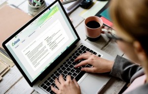 A atualização tem como foco diminuir processos burocráticos para empresas com até 50 funcionários. Foto: reprodução