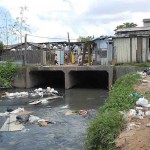 Em Belo Horizonte, as cargas virais continuam elevadas, cerca de aproximadamente 30 trilhões de cópias por dia. Foto: Reprodução.