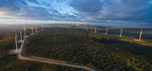 Catorze anos após a inauguração do seu primeiro parque, a Neoenergia mantém prioridade em energia renovável e promete triplicar capacidade de geração eólica nos estados da Bahia, Rio Grande do Norte e Paraíba. Foto : Paula Fróes / Gov.Ba / reprodução.