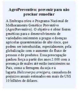 feijão 2