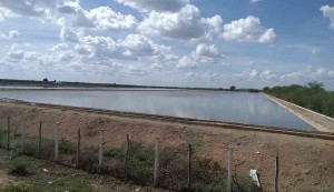 O projeto-piloto busca dar suporte ao desenvolvimento de ações, políticas e parâmetros de regulação para o reúso de água de esgoto tratado na produção de alimentos. Foto: divulgação.