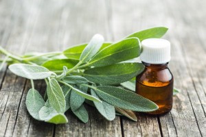 O objetivo da Política Nacional é garantir à população brasileira o acesso seguro a plantas medicinais e fitoterápicos. Foto: Banco de imagens.