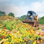 Os países vão se reunir nesta sexta-feira, 12, no webinário internacional “Sistemas circulares urbanos: Supermercados e Feiras Livres”. Foto: reprodução / google.