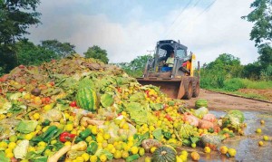 Os países vão se reunir nesta sexta-feira, 12, no webinário internacional “Sistemas circulares urbanos: Supermercados e Feiras Livres”. Foto: reprodução / google.
