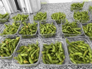 Cultivar de soja BRS 267, quando colhida verde, pode ser consumida como  edamame, prato popular no Japão e em outros países orientais. Foto: Embrapa relacionada
