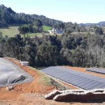 O primeiro deles será um painel voltado à discussão das políticas e estratégias estaduais para biogás, biometano e energias renováveis. Foto: relacionada / reprodução