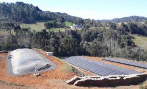 O primeiro deles será um painel voltado à discussão das políticas e estratégias estaduais para biogás, biometano e energias renováveis. Foto: relacionada / reprodução