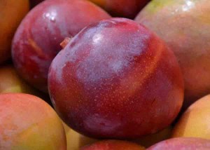 Em volume de exportação da fruta, os números de 2020 representam um aumento de 13% em relação a 2019. Foto: Fernanda Birolo/ Divulgação