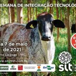 DIA DE CAMPO