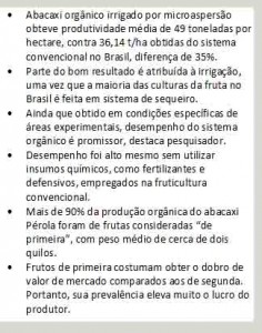 abacaxi 00