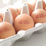 Em receita, a alta acumulada chega a 173,1%, com US$ 6,211 milhões de saldo em 2021, contra US$ 2,269 milhões em 2020.. Foto: ABPA /divulgação