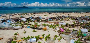 Com 90% das grandes populações de peixes esgotadas e 50% dos recifes de coral destruídos, estamos tirando mais do oceano do que podemos repor. Foto: reprodução / Igui ecologia