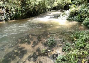 agua de rio