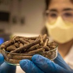 Projeto EMBRAPII ganhou o nome de B-Pellet e possibilita nova destinação aos resíduos orgânicos brasileiros. Foto: divulgação