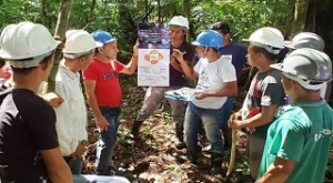 Treinamento em manejo de mínimo impacto em açaizais nativos, no Marajó,Par. Foto/Arquivo Embrapa - Bem Diverso