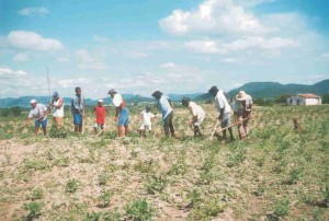 A obtenção de crédito se dá por meio da rede de mais de 60 agentes financeiros credenciados no BNDES, incluindo agências de fomento, bancos de montadoras, cooperativas de crédito, bancos cooperativos, bancos privados e bancos públicos. Foto: João Martins / Arq. Integração