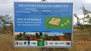 area de rcuperação