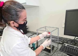Uma das inventoras, a pesquisadora Roselayne Furtado, da Embrapa Agroindústria Tropical (CE), afirma que o processo de eletrodeposição das nanopartículas de ouro desenvolvido para esse tipo de eletrodo é mais simples e eficiente que outros demonstrados na literatura. Foto: Ricardo Moura.