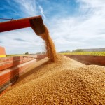Ministério da Agricultura prevê crescimento de 27% no setor até 2031; soja, milho, algodão e trigo puxam a evolução do setor. Foto: Istock / MAPA.