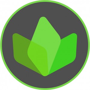 SIMBOLO-VERDE-NO-CIRCULOCINZA-CARBONO