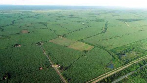 Os preços mínimos por hectare são: R$ 13,1 mil para as áreas irrigáveis e R$ 5,1 mil para as áreas não irrigáveis Fotos: Flickr/Codevasf / divulgação