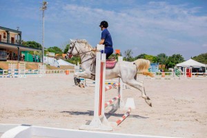 Ao todo, raça irá se apresentar em nove modalidades, entre elas Salto. Douglas Sousa/Divulgação/ABCCA