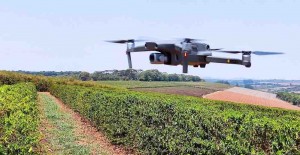 Coordenada pelos ministérios da Ciência, Tecnologia e Inovações (MCTI) e da Agricultura, Pecuária e Abastecimento (Mapa), a Câmara do Agro 4.0 estabeleceu um plano de ação até 2024.