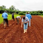 As inscrições seguem até o dia 30 de novembro de 2021. Recurso destinado a assentamentos rurais para consolidar atividades produtivas. Foto: Emater/ Agroecologica