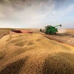 De acordo com os dados levantados pela Conab, apenas a área a ser semeada de soja tende a passar de 38,9 milhões/ha para 39,91 milhões/ha, um acréscimo de 2,5%. Foto: divulgação