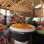 Na comunidade Brejo Dois Irmãos foi implantada uma Unidade de Beneficiamento de Buriti e ofertada capacitação técnica, com o intuito de agregar valor à produção, diversificar a capacidade produtiva e preservar o buriti. Foto: divulgação.