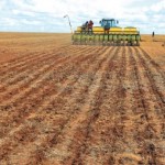 Parte de Goiás também apresenta boas condições de umidade de solo, mas Mato Grosso do Sul e Rio Grande do Sul iniciam novembro com cenário de seca nas áreas de produção. Aspectos cronológicos de cultivo de soja no Amapá – foto: aprosojabrasil.com.br/