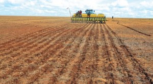 Parte de Goiás também apresenta boas condições de umidade de solo, mas Mato Grosso do Sul e Rio Grande do Sul iniciam novembro com cenário de seca nas áreas de produção. Aspectos cronológicos de cultivo de soja no Amapá – foto: aprosojabrasil.com.br/