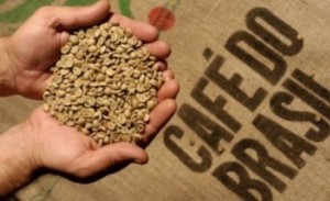 Total de café brasileiro vendido ao exterior atingiu 33,27 milhões de sacas com receita cambial de US$ 4,81 bilhões no período de janeiro a outubro de 2021. Foto: Coopercam / reprodução
