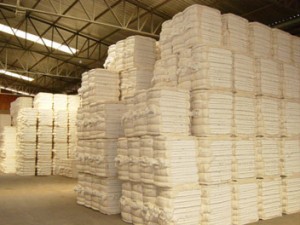 Os dados são do 3° Levantamento da Safra de Grãos, publicado pela Companhia Nacional de Abastecimento (Conab) nesta quinta-feira (09). Foto: Conab