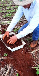 220118_MétodoFertilidadeSolo_homem mexe na terra_2