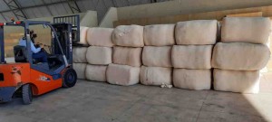 Os pequenos produtores transformam suas matérias-primas e aumentam seu faturamento. Começaram a parceria com uma produção piloto de 250 quilos e agora recebem 14 toneladas de pluma para a fiação. Foto: divulgação / SENAI