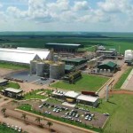Maior produtora de etanol de milho do Brasil e pioneira neste segmento, a FS é a nova associada da União da Indústria de Cana-de-Açúcar (UNICA). Foto: FS Bioenergia / divulgação