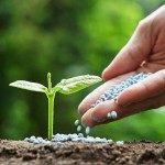 O Brasil ocupa a quarta posição dentre os maiores consumidores de nutrientes minerais para fertilizantes no mundo, ficando atrás de China, Índia e Estados Unidos (6% do total consumido no mundo). Foto: reprodução Internet.