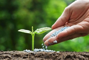 O Brasil ocupa a quarta posição dentre os maiores consumidores de nutrientes minerais para fertilizantes no mundo, ficando atrás de China, Índia e Estados Unidos (6% do total consumido no mundo). Foto: reprodução Internet.