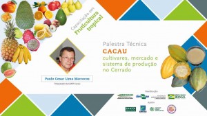 Arte palestra cacau