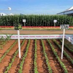 A Novozymes BioAg apresenta aos produtores da região inovação sustentável que pode gerar incremento de produtividade de até 6%. (divulgação).