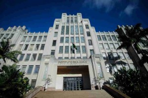 Projetado pelo arquiteto Mário Whately na década de 1920, o prédio do IB foi inaugurado em meados de 1940 e é considerado um dos exemplares mais importantes da primeira modernidade na arquitetura paulistana. Foto: divulgação