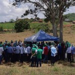 Plantio de algodão em sistema ILPF é alternativa para convivência com a escassez de água. Foto/ vídeo: Embrapa