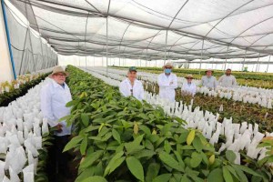 Já estamos produzindo cacau no Oeste da Bahia, precisamos fortalecer a cadeia produtiva, englobando desde as mudas, até o fruto colhido no cerrado”, finalizou o presidente da Biobrasil, Moisés Schimidt.  Foto: Aiba